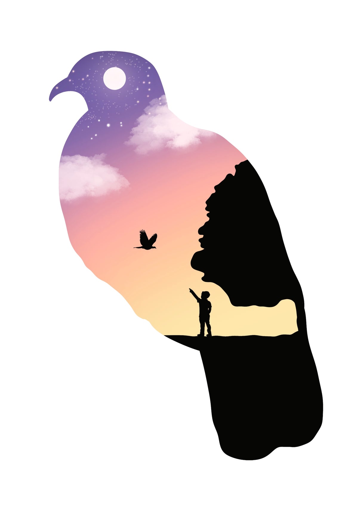 Kererū - A4