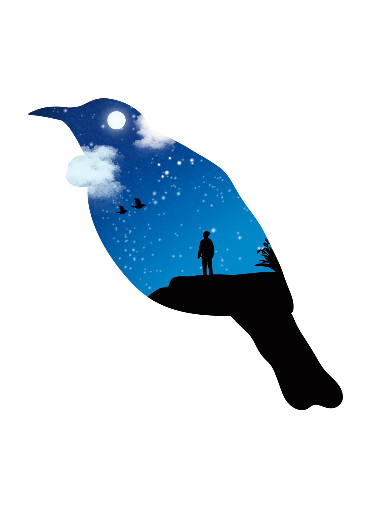 Tūī - A4